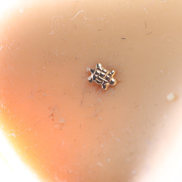 9kt Gold Mini turtle Nose Piercing solid 9kt gold New - Picture 1 of 3